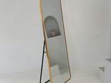 Wall Hanging Standing Mirror 61x19.5 Inch
