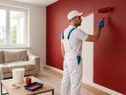 Wall Painter Service