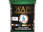 WAPP Paint