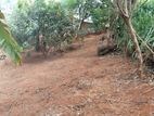 Warakamura Land for Sale