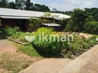 Warehouse Factory For Sale Gampaha