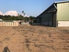 Warehouse for Sale in Ekala (C7-4839)