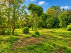 Wariyapola - 86 Perches Land for Sale (SSPL-486)