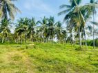 Wariyapola Coconut Land with 2 Factory's For Sale ( RS - 470)