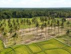 Wariyapola Land for Sale P11