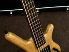 Warwick 5 Strings Bass Guitar