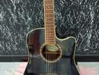 Washburn Guitar