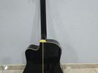 Washburn Semi Acoustic Guitar