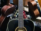 Washburn Solid Acoustic Guitar