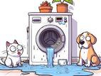 Washing Machines Repair