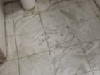 Washroom Cleaning Service