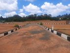 Watareka Highly Residential Land Plots For Sale Near to Dammpe Road