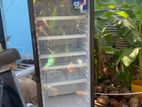 Bottle Cooler