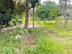 Water facing land for sale Maharagama