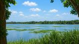 Water-Front Land Bolgoda