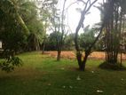 Water Front Land for Sale in Moratuwa