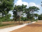 Water Front Land for Sale in Nawala