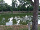 Water Front Land Plots in Nawala
