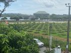 Water Front Pahalawela Pelawatta 24 Perch 8-Bedroom House for Sale