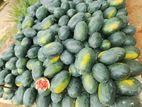 Water melon/melon/ komadu