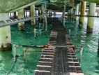 Water Proofing Service