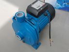 Water Pump -1 Hp Regnis (wp-Reg-100-S)