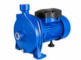 Water Pump 1Hp 1Inch CPM158