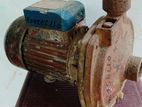 Water Pump Motor