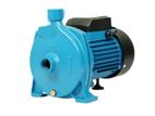 Water Pump Regnis – 1HP (WP-REG-100-S)