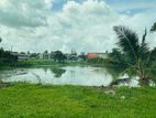 Waterfront 33.56 P Land Sale At Nagahamulla Road Pelawatta
