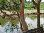 Waterfront Land for Sale Rajagiriya -DS 0606