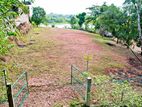 Waterfront Land for Sale in Bolgoda Lake