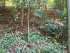 Waththegama Land for Sale