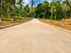 Wathupitiwala Land for Sale