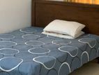 Wattala 04 Bed Room House on 18.71 Perches of Land for Sale