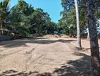 Wattala 10 P High Residential Land Block