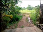 Wattala : 100 Perches High Residential Land for Sale in Hunupitiya