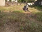 Wattala Alwis Town bare Land for Sale close to Hekitha Road