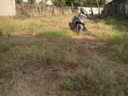 Wattala Alwis Town bare Land for Sale close to Hekitha Road