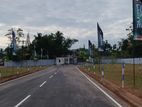 Wattala Best Land For sale