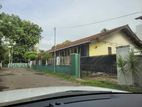 Wattala Hendala Road Facing 13.34 Peches of Land with House for Sale