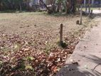 Wattala Land for Sale