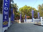 Wattala Land Sale