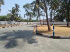 wattala land sale