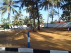 wattala land sale