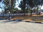 Wattala land sale