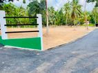 Wattala Mahabage Valuable Land plot for sale