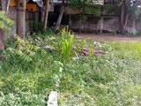 Wattala - Peliyagoda Negombo Main Road Facing Land for Sale