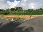 Wattala - Prime Location 7 Perches Land for Sale