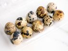 Watu biththara / Quail Eggs